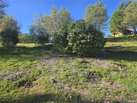 29783 Redwood
