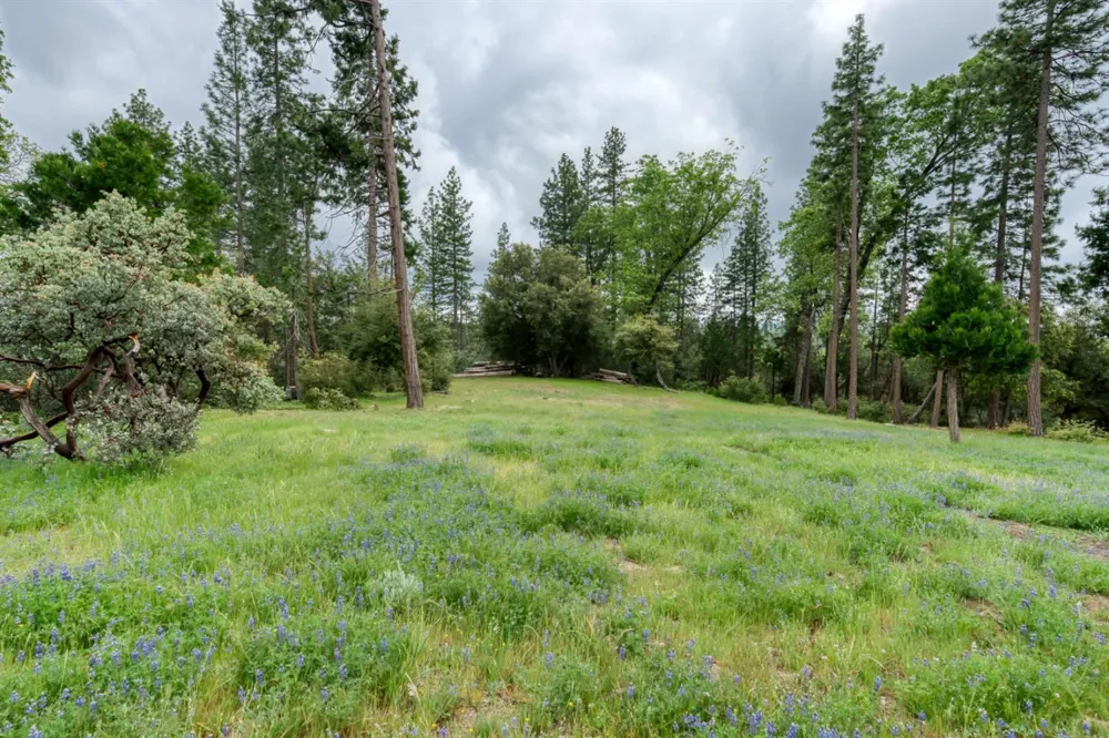 42123 Auberry Road Auberry, CA 93602