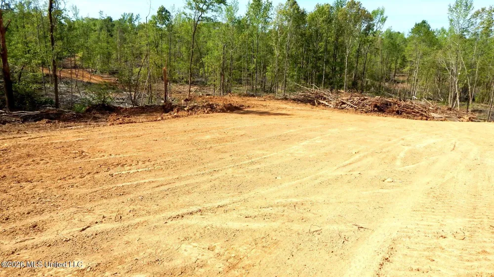 50 Nelia Road Grenada, MS 38901