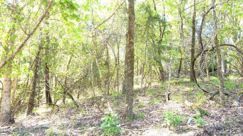 50 Nelia Road Grenada, MS 38901
