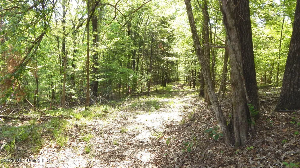 50 Nelia Road Grenada, MS 38901