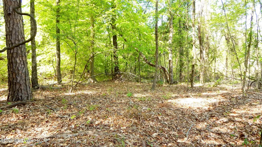 50 Nelia Road Grenada, MS 38901