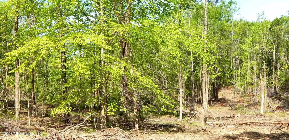 50 Nelia Road Grenada, MS 38901