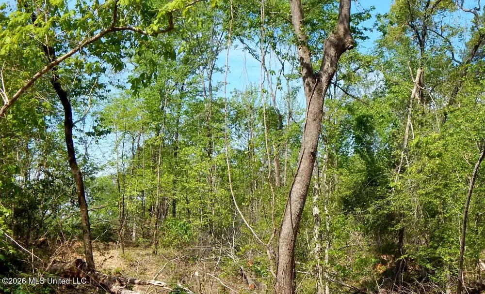 50 Nelia Road Grenada, MS 38901