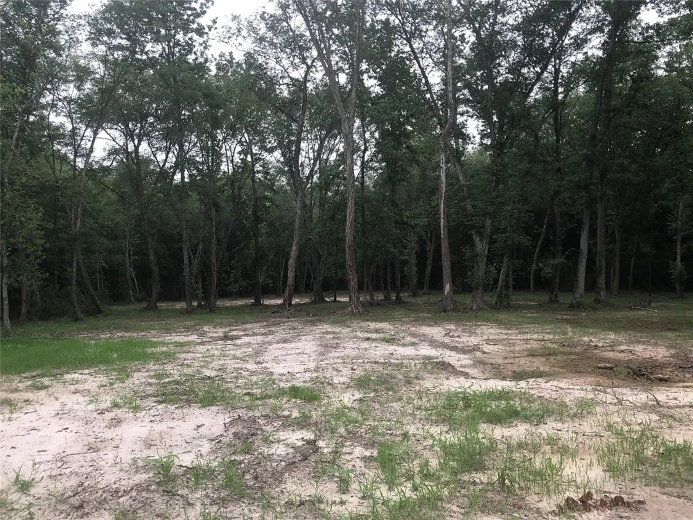 1841 Pr 1315 Centerville, TX 75833