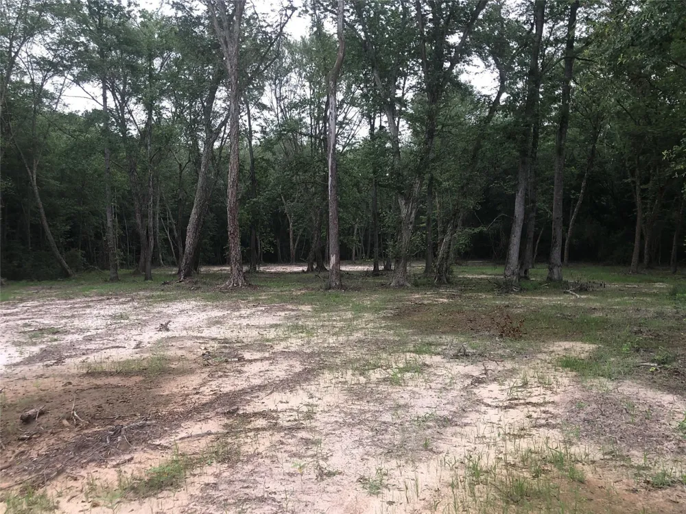 1841 Pr 1315 Centerville, TX 75833