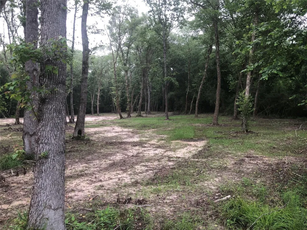 1841 Pr 1315 Centerville, TX 75833