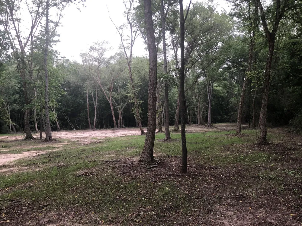 1841 Pr 1315 Centerville, TX 75833