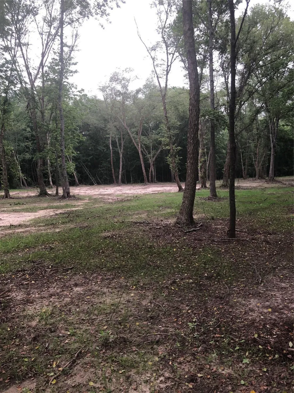 1841 Pr 1315 Centerville, TX 75833