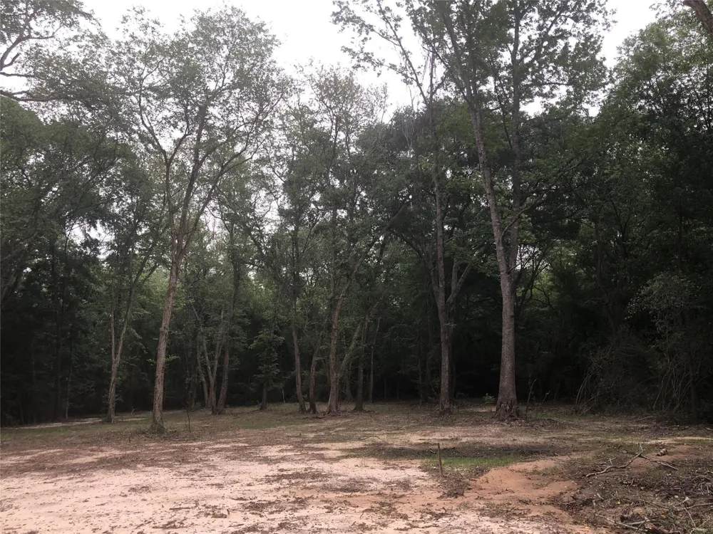 1841 Pr 1315 Centerville, TX 75833