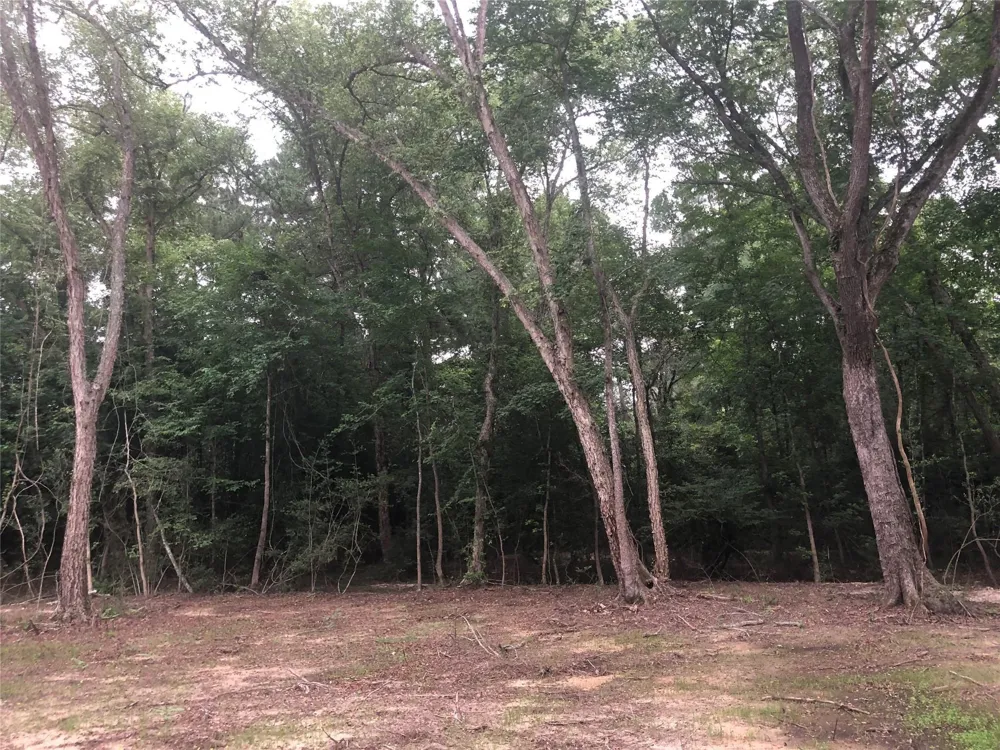 1841 Pr 1315 Centerville, TX 75833