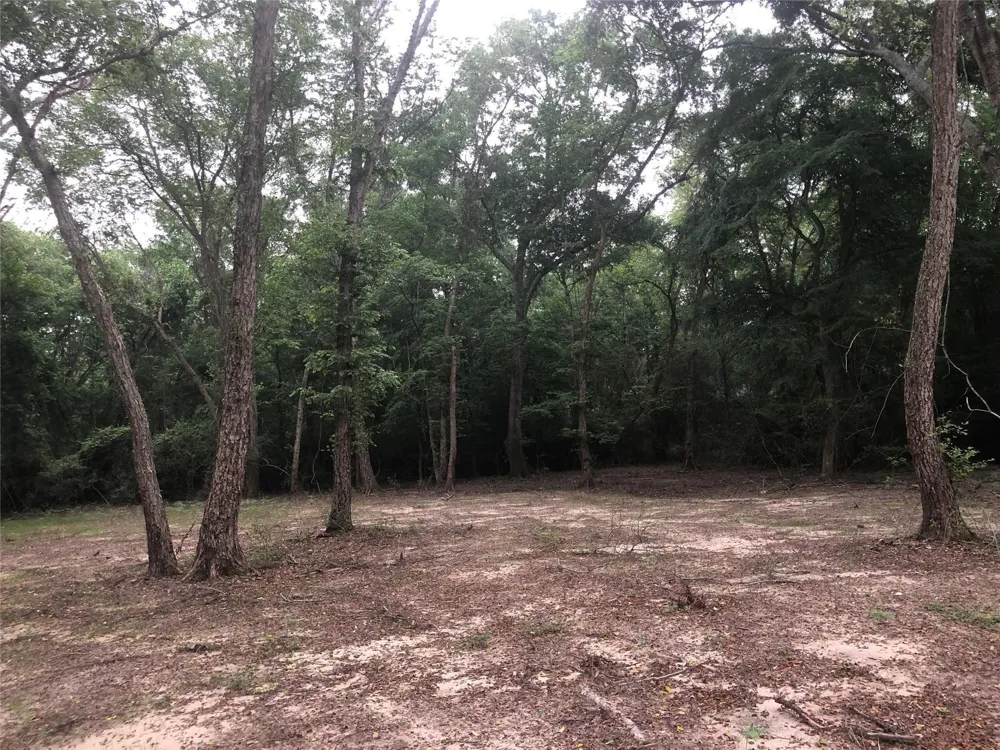 1841 Pr 1315 Centerville, TX 75833