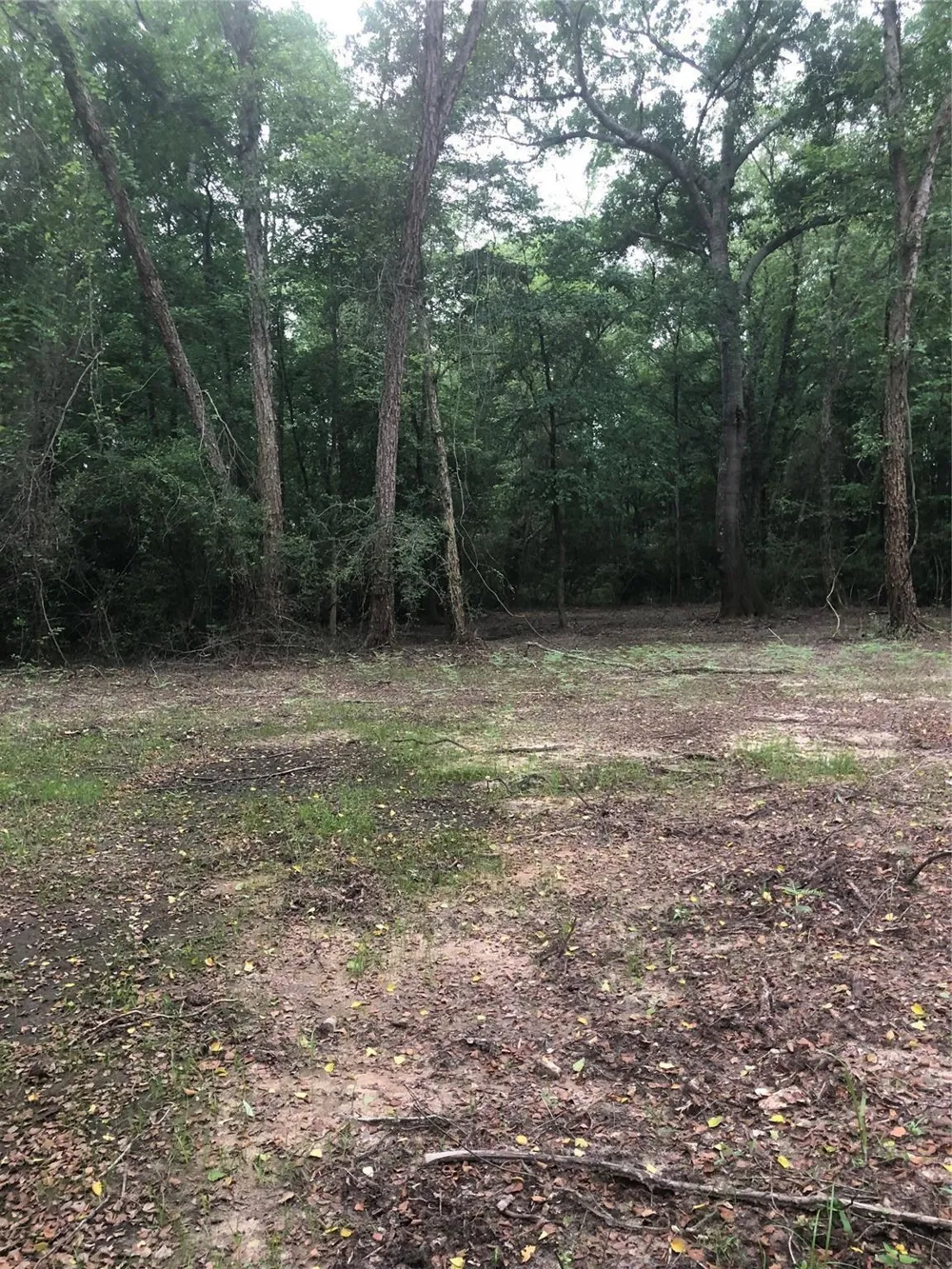 1841 Pr 1315 Centerville, TX 75833