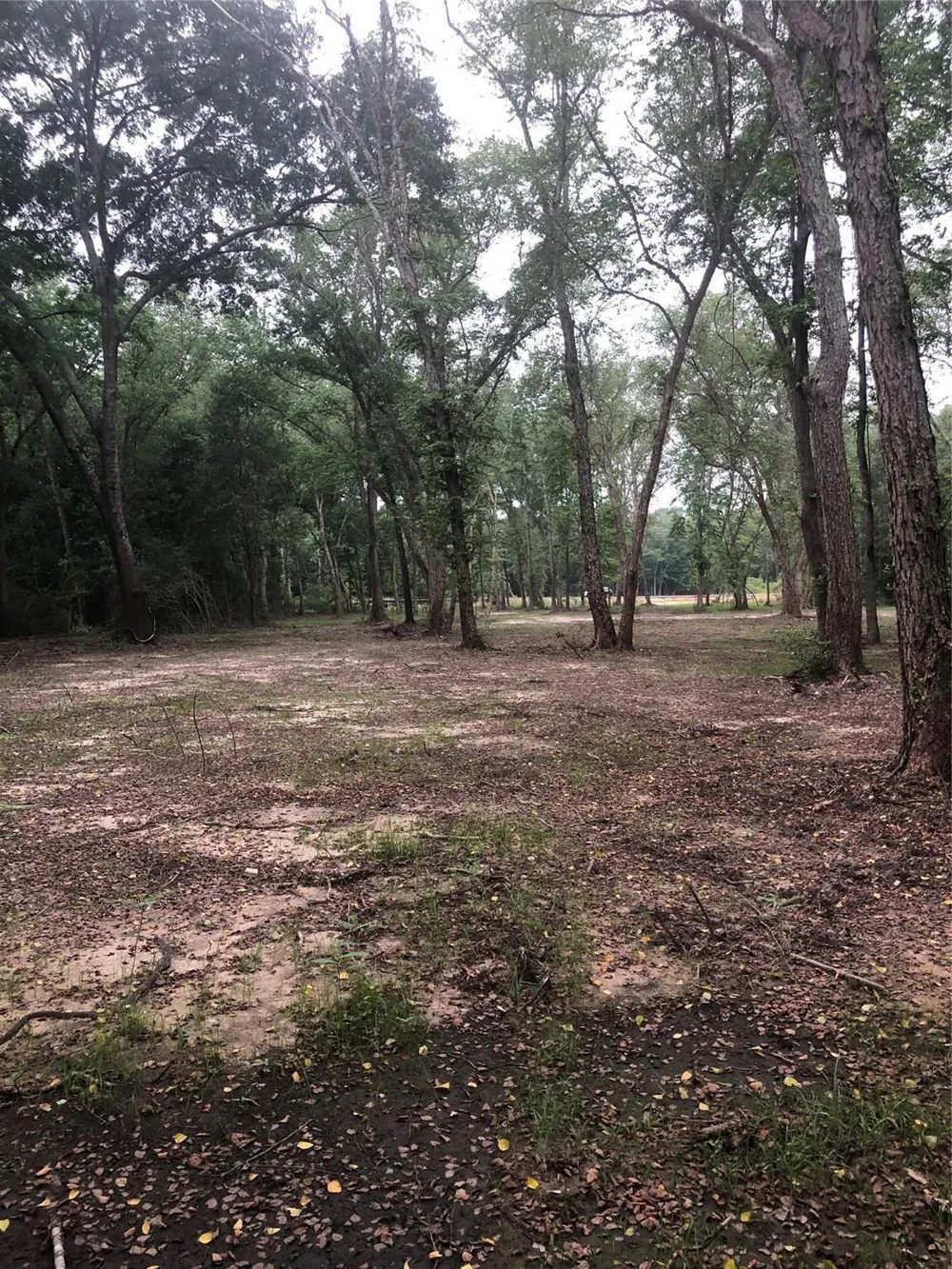 1841 Pr 1315 Centerville, TX 75833