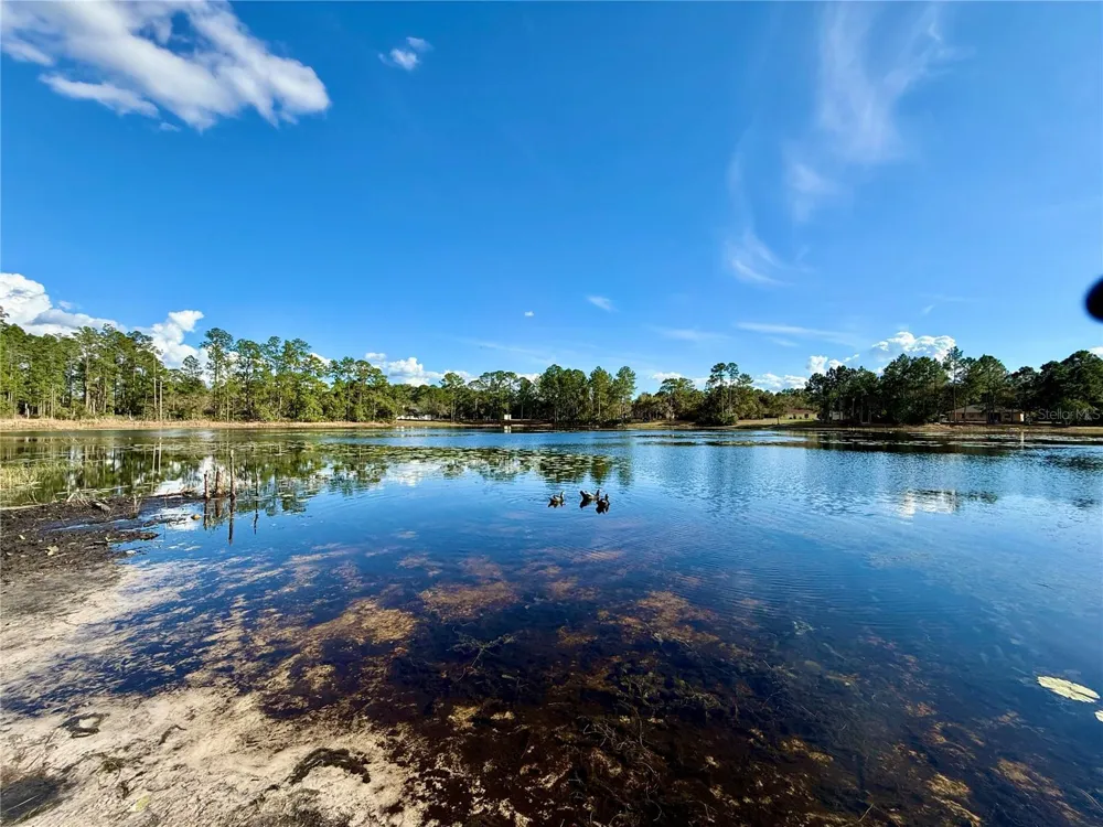 41722 POINCIANA STREET Eustis, FL 32736
