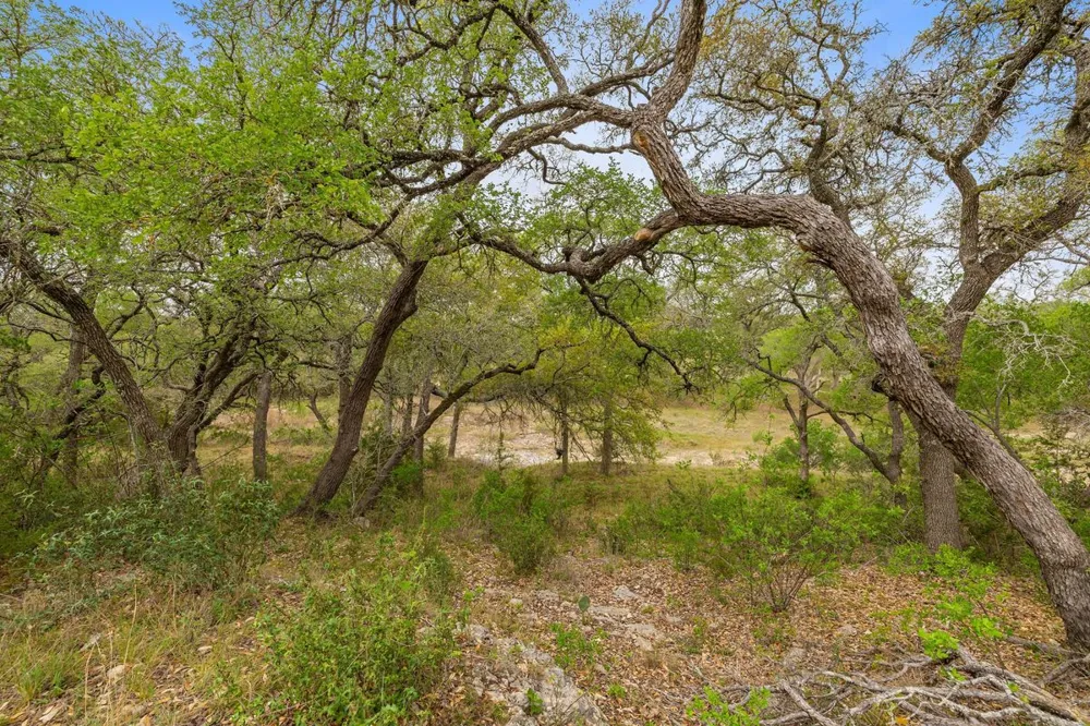 744 W Bartlett Drive Buda, TX 78610
