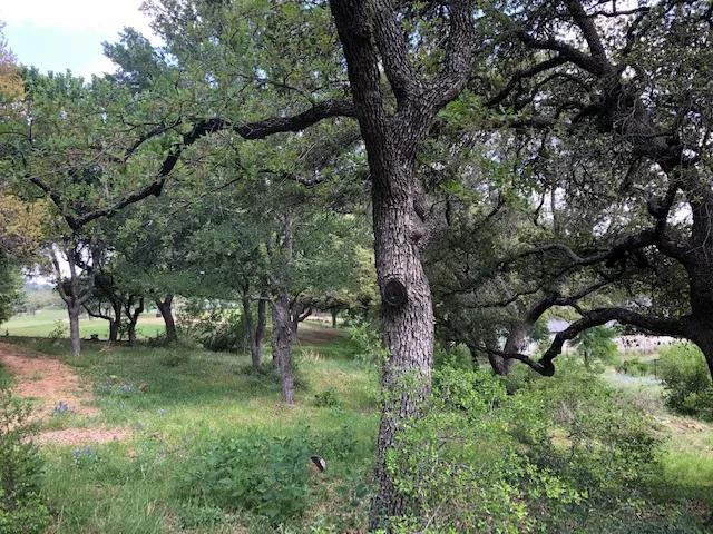 Bay West/Quick Circle Circle Horseshoe Bay, TX 78657