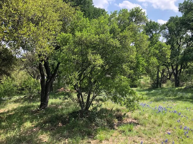 Bay West/Quick Circle Circle Horseshoe Bay, TX 78657