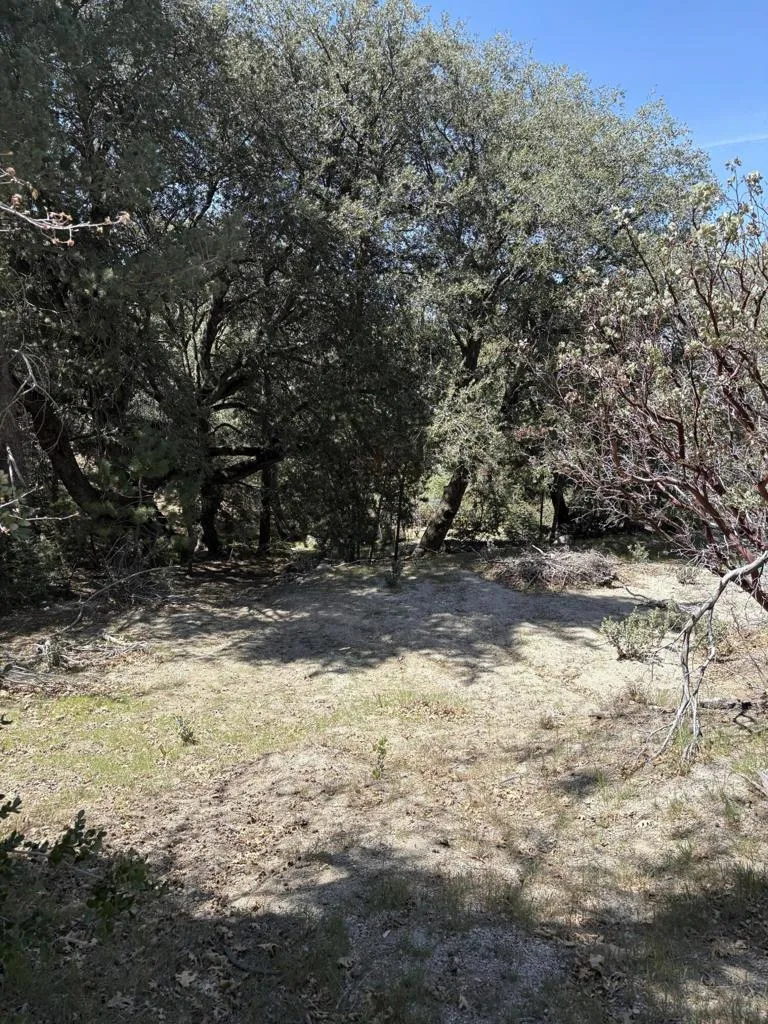 Schaffer Drive Pine Cove, CA 92549