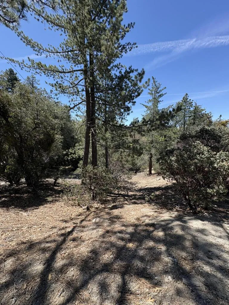 Schaffer Drive Pine Cove, CA 92549