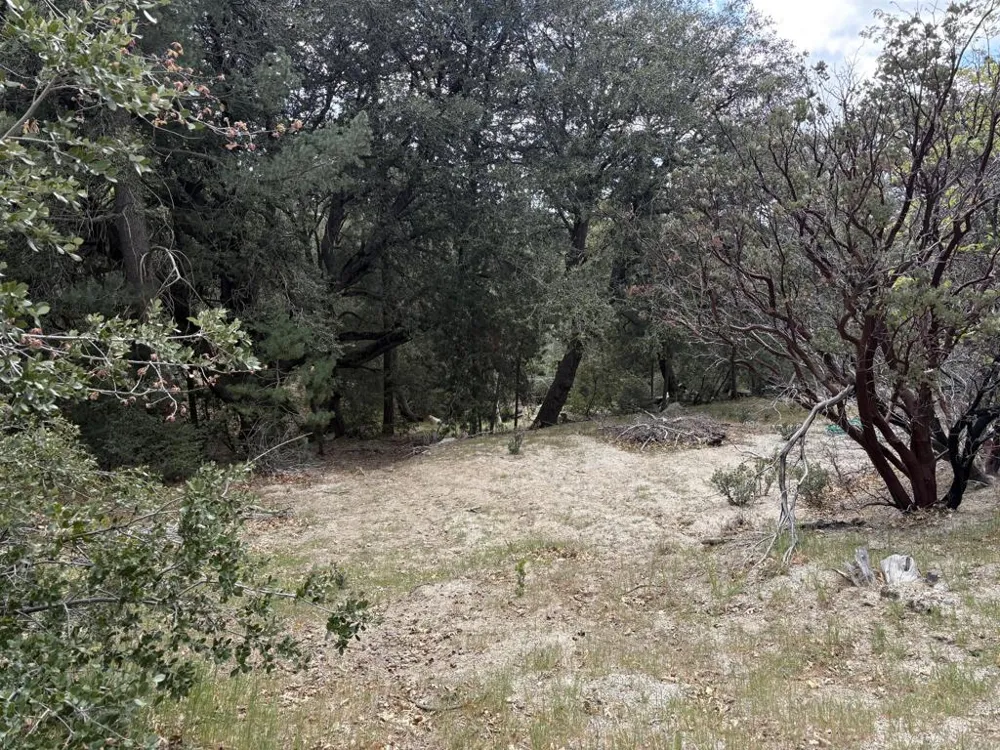 Schaffer Drive Pine Cove, CA 92549