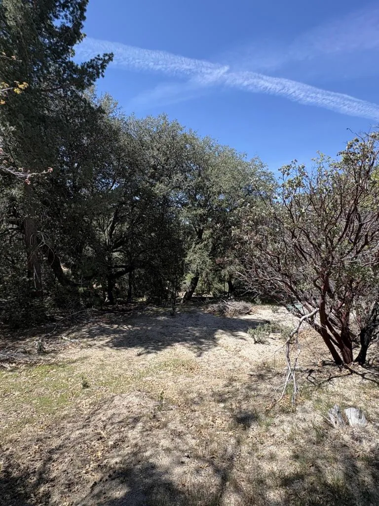 Schaffer Drive Pine Cove, CA 92549