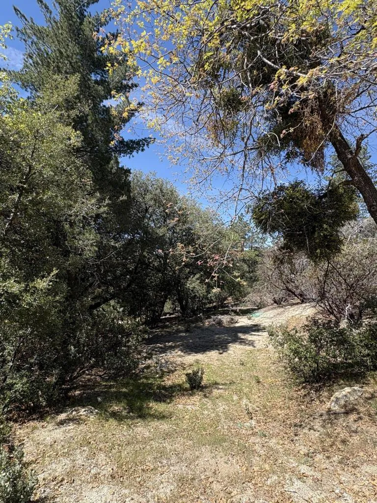Schaffer Drive Pine Cove, CA 92549