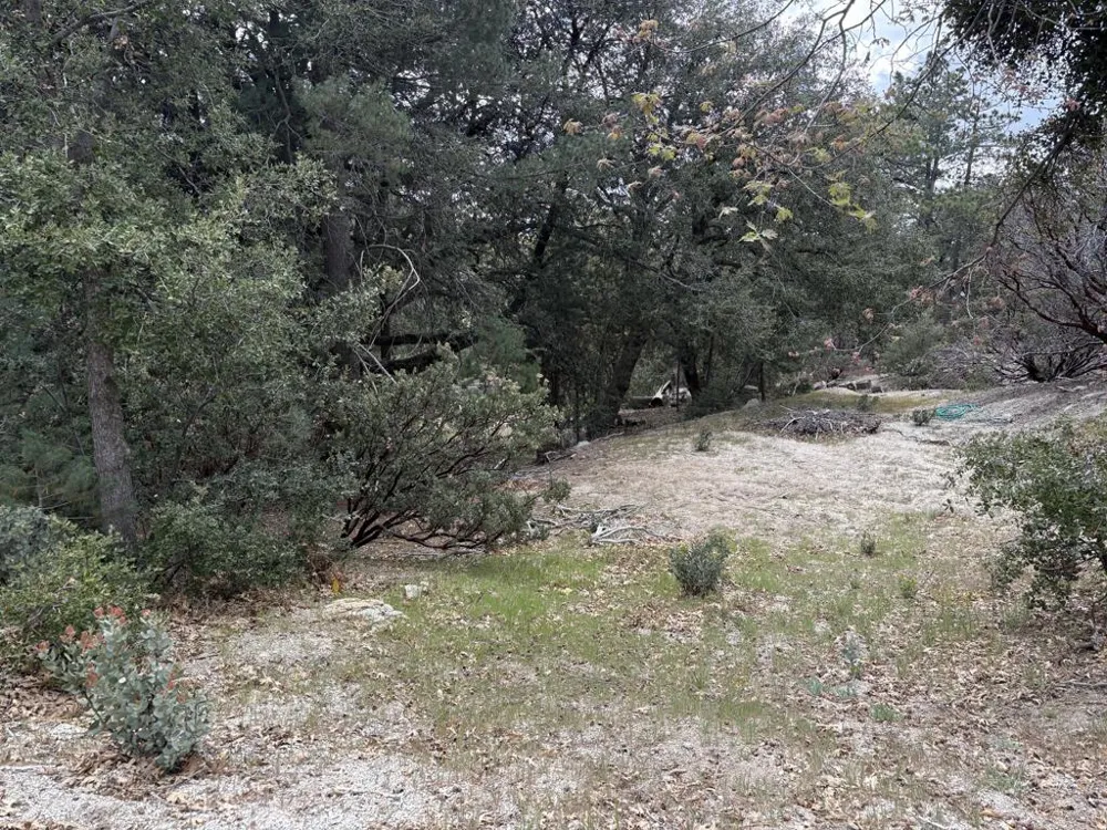 Schaffer Drive Pine Cove, CA 92549