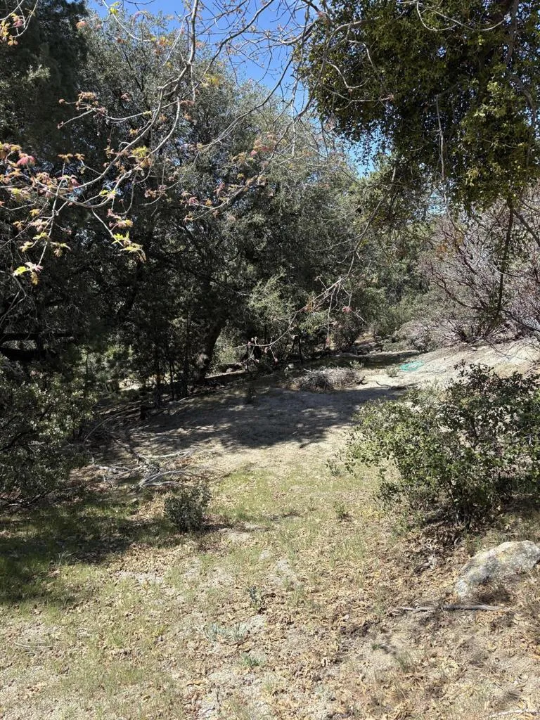 Schaffer Drive Pine Cove, CA 92549