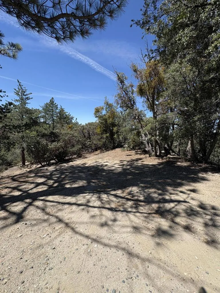 Schaffer Drive Pine Cove, CA 92549