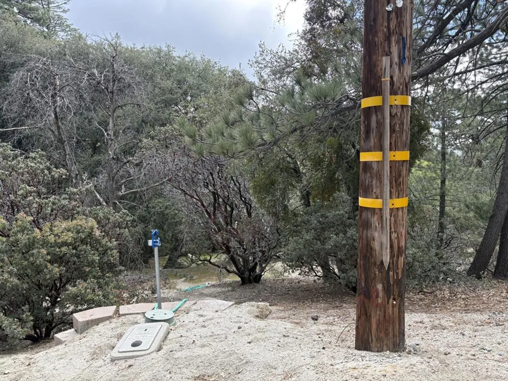 Schaffer Drive Pine Cove, CA 92549