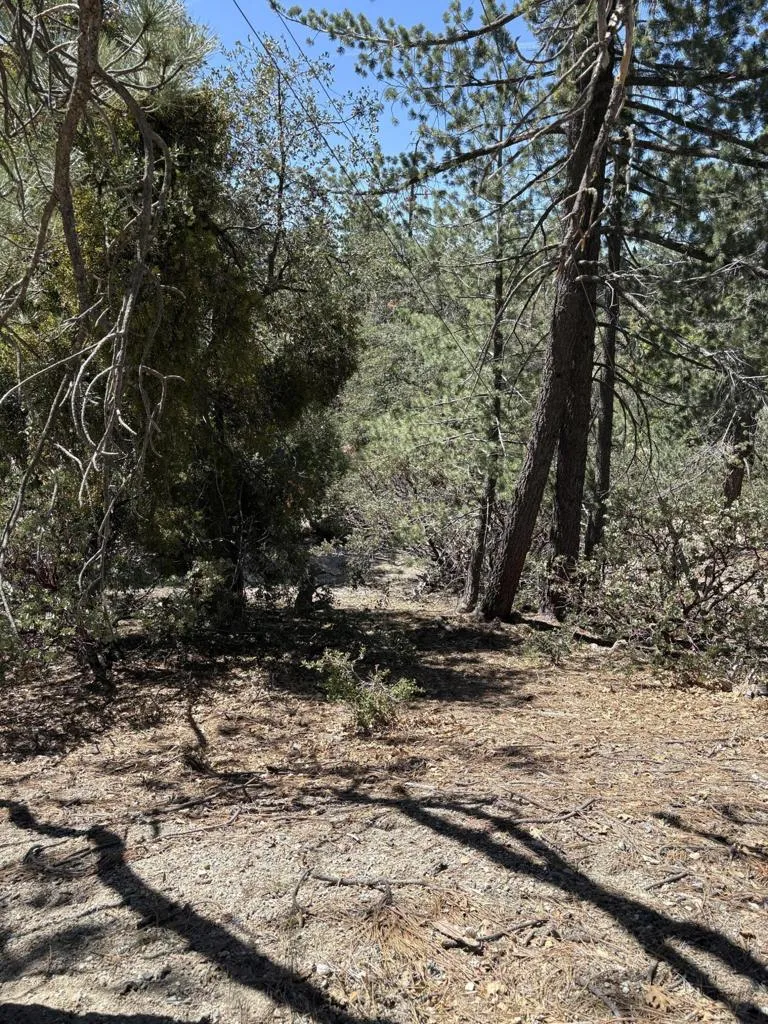 Schaffer Drive Pine Cove, CA 92549
