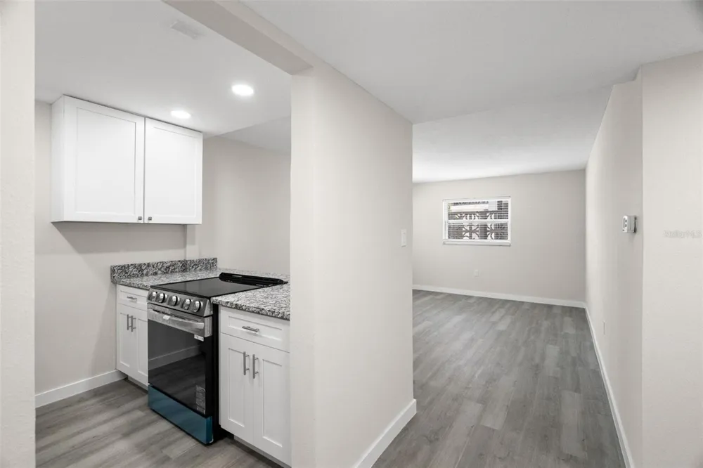 11655 3RD STREET E #1 Treasure Island, FL 33706