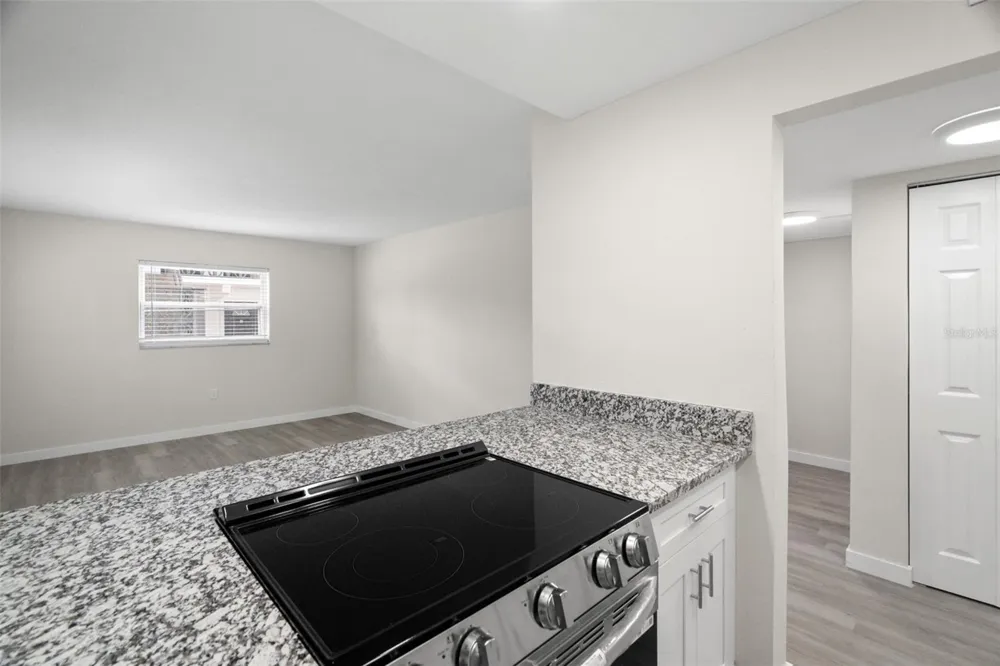 11655 3RD STREET E #1 Treasure Island, FL 33706