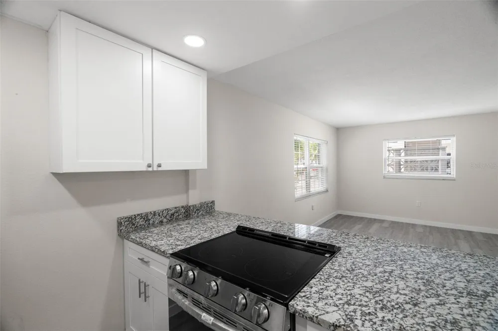 11655 3RD STREET E #1 Treasure Island, FL 33706