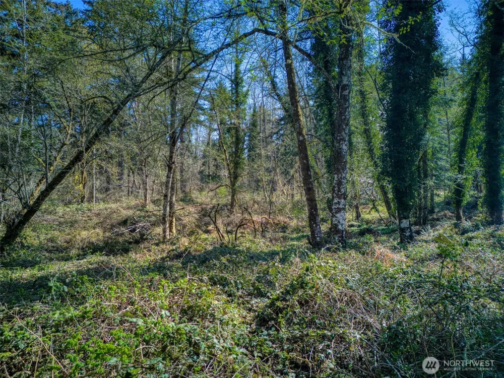 0 Whiteman Rd SW Lakebay, WA 98349