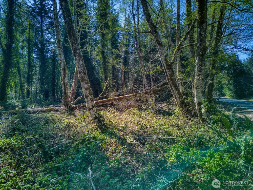 0 Whiteman Rd SW Lakebay, WA 98349