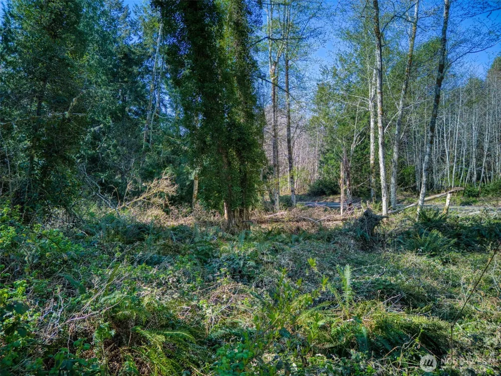 0 Whiteman Rd SW Lakebay, WA 98349