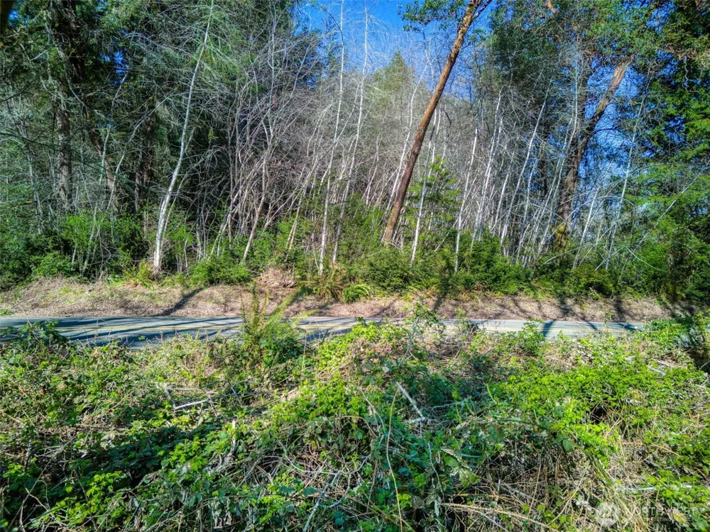 0 Whiteman Rd SW Lakebay, WA 98349