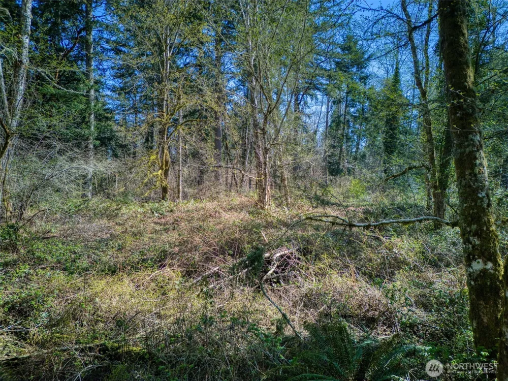 0 Whiteman Rd SW Lakebay, WA 98349
