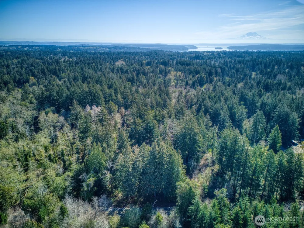 0 Whiteman Rd SW Lakebay, WA 98349
