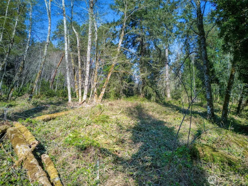 0 Whiteman Rd SW Lakebay, WA 98349