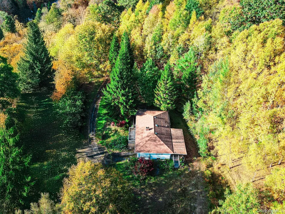 2220 Old Route 17 Roscoe, NY 12776
