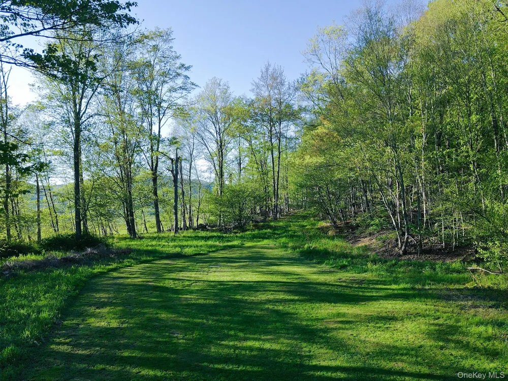 2220 Old Route 17 Roscoe, NY 12776