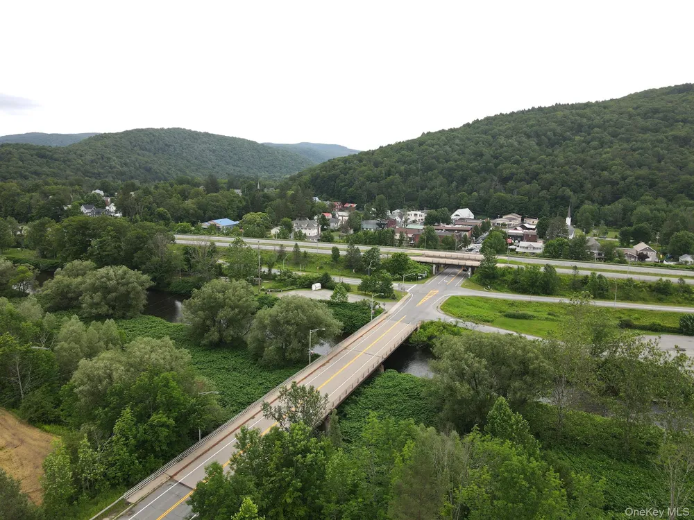 2220 Old Route 17 Roscoe, NY 12776
