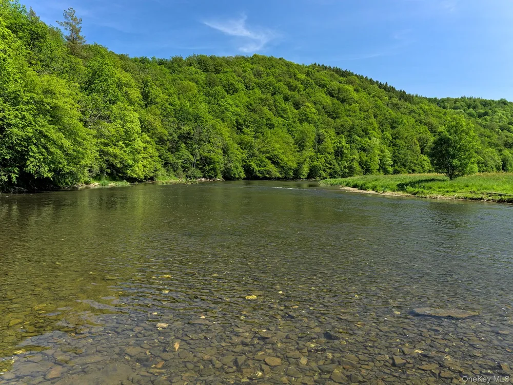 2220 Old Route 17 Roscoe, NY 12776