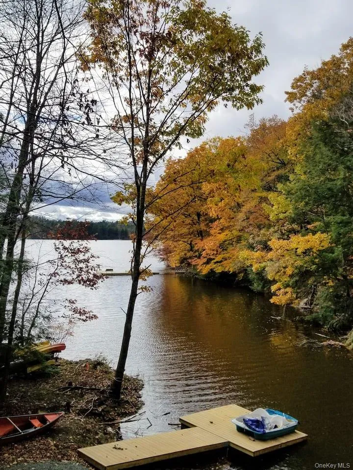 221 Starlight Road Monticello, NY 12701