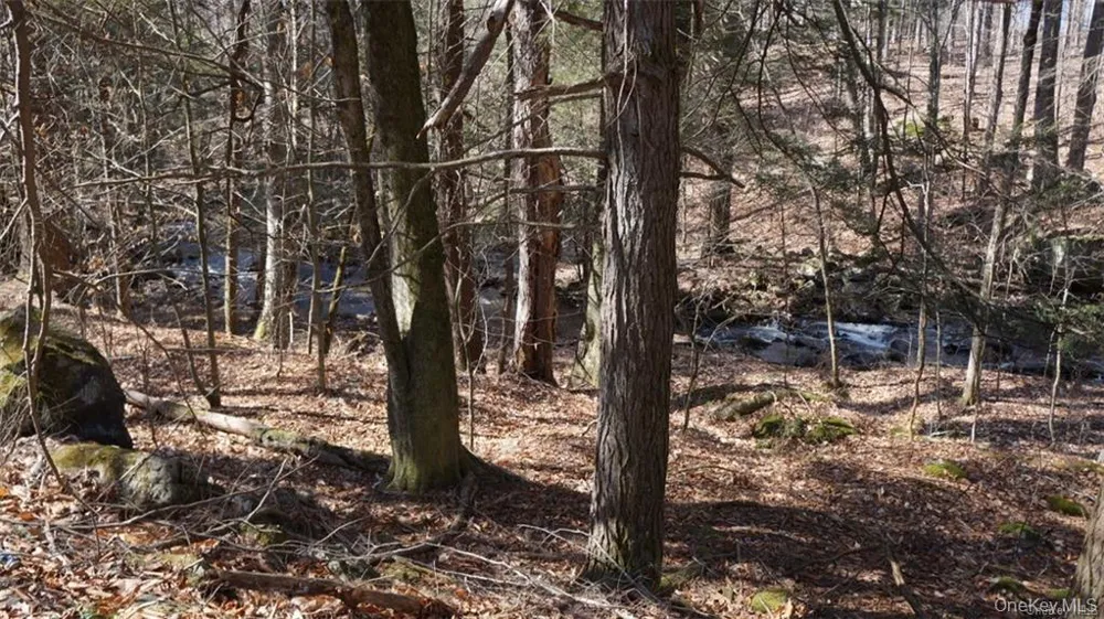 221 Starlight Road Monticello, NY 12701
