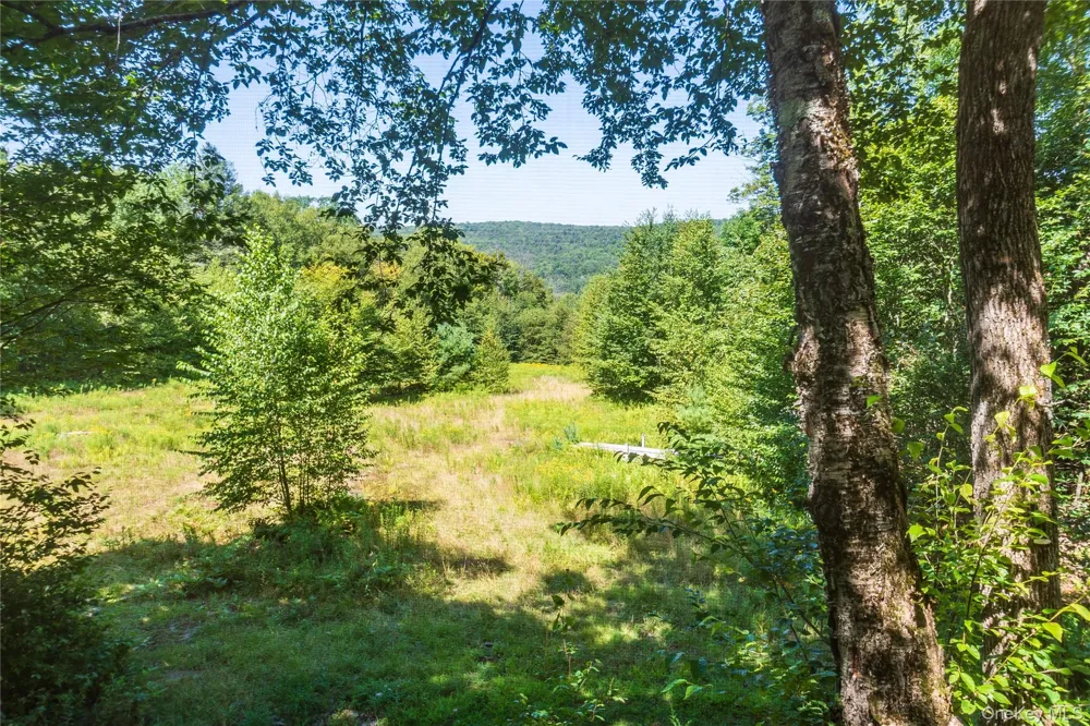 885 Grandview Road Hancock, NY 13783