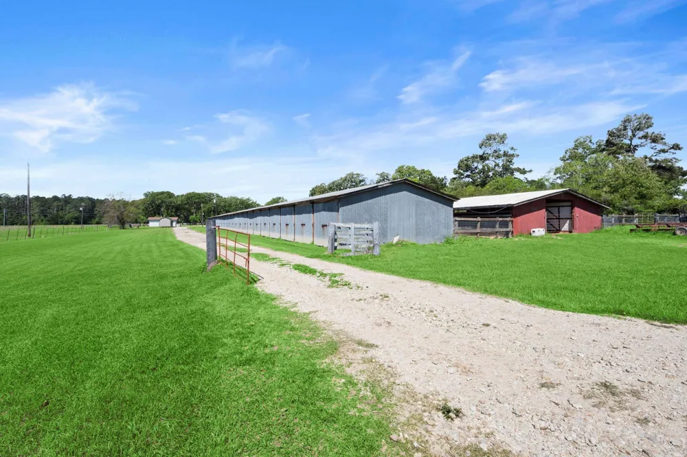 4856 Fm 356 Onalaska, TX 77360